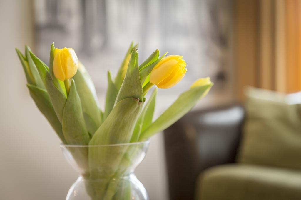 Saaresalu City Center Apartment Pärnu Eksteriør bilde